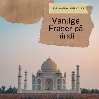 Vanlige fraser pa hindi