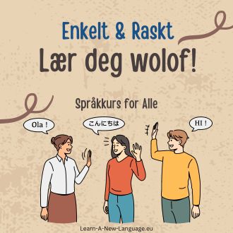 Laer deg wolof - enkelt og raskt - wolof sprakkurs for alle