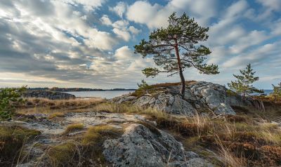 Estlandsk - Bilde av et typisk landskap i Estland