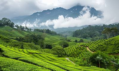 malaysisk-sprak-malaysian-landskap